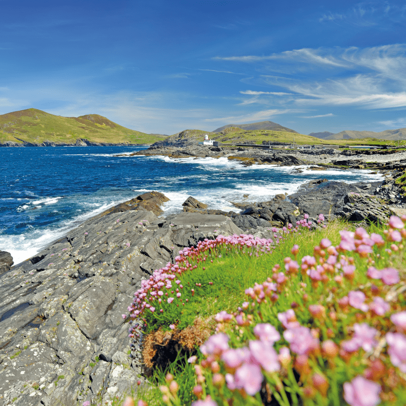 holidays to ring of kerry