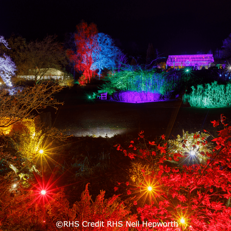 RHS Harlow Carr Glow