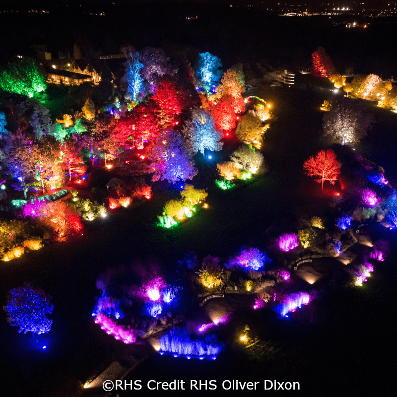 RHS Hyde Hall Glow