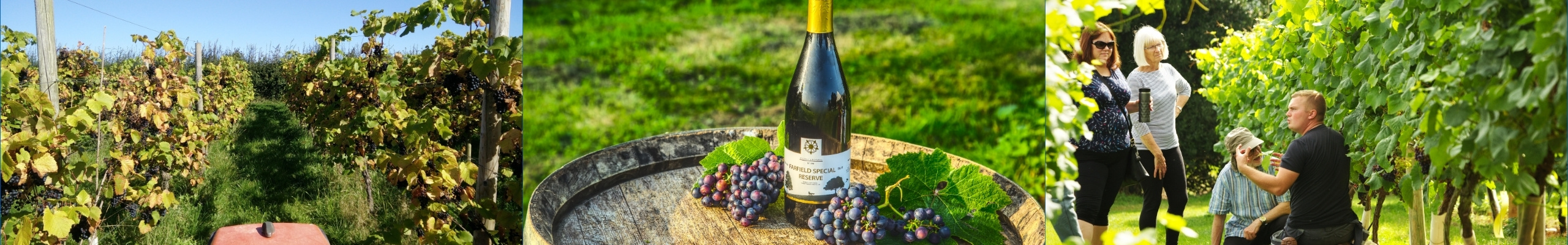 Wine Lovers Unite
